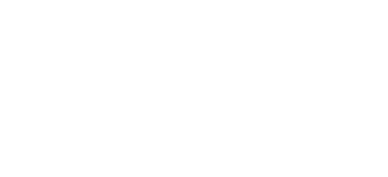 Business Rauma logo valkoinen.
